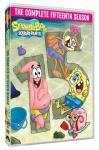 SpongeBob SquarePants: Season 15 [DVD]