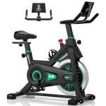 DMASUN Indoor Exercise Bike with Tablet Holder