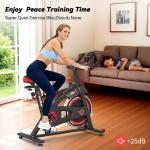 Wenoker Indoor Spin Bike for Home Workouts