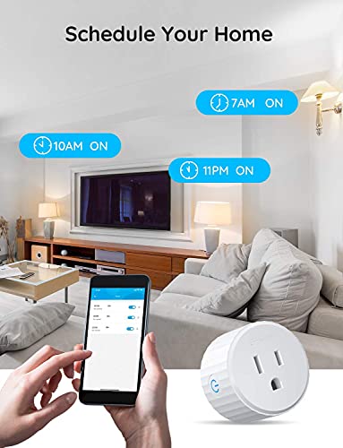 Smart WiFi Plugs with Voice Control & Timer