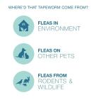 Elanco Tapeworm Dewormer for Cats and Kittens