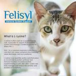 Felisyl L-Lysine Gel for Cats – Salmon Flavor