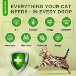 Natural Chicken-Flavored Cat Antibiotic for Infections