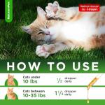 Natural Chicken-Flavored Cat Antibiotic for Infections