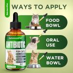 Natural Chicken-Flavored Cat Antibiotic for Infections