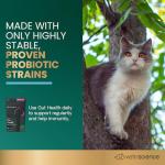 VetriScience Probiotic Chews for Cats - 60 Count