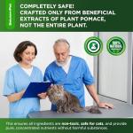 Natural Chicken-Flavored Cat Antibiotic for Infections