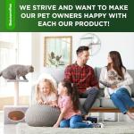 Natural Chicken-Flavored Cat Antibiotic for Infections