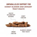 Rocco & Roxie Cat Urinary Health Crunchy Chews