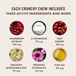 Rocco & Roxie Cat Urinary Health Crunchy Chews