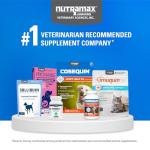 Nutramax Cosequin Joint Health Soft Chews for Cats