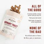 Rocco & Roxie Cat Urinary Health Crunchy Chews