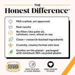 Lysine Immune Support for Cats – Allergy Relief