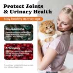 Cat Vitamin Treats for Immune and Joint Health