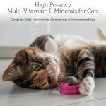 Daily Immune Support Multivitamin for Cats