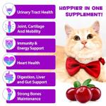 15-in-1 Liquid Multivitamin Drops for Cats