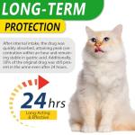 Natural Antibiotic Drops for Cats – Chicken Flavor