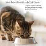 Daily Immune Support Multivitamin for Cats