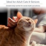 Daily Immune Support Multivitamin for Cats