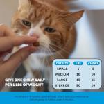 Cat Skin & Coat Health Chews – 30-Day Supply
