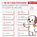 10-in-1 Liquid Multivitamin for Indoor Cats