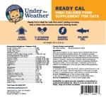 Ready Cal Cat Weight Gainer | High Calorie Supplement