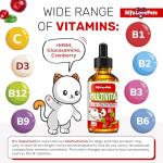 10-in-1 Liquid Multivitamin for Indoor Cats