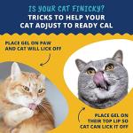 Ready Cal Cat Weight Gainer | High Calorie Supplement