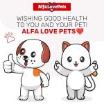 10-in-1 Liquid Multivitamin for Indoor Cats