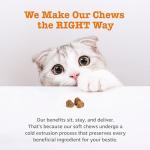 Zesty Paws Cat Allergy Relief Soft Chews - Bacon