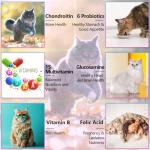 15-in-1 Liquid Cat Multivitamins for Health 60ml