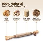 Natural Silvervine Sticks for Cats - Chew & Play