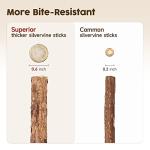 Natural Silvervine Sticks for Cats - Chew & Play