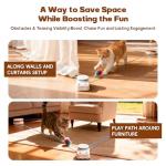 Automatic Interactive Toy for Indoor Cats