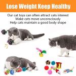21 Pcs Interactive Cat Toy Set with Tunnel