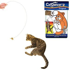 Original Cat Dancer Interactive Toy for Cats
