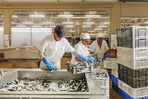 Nuri Sardine 10-Pack for Seafood Lovers