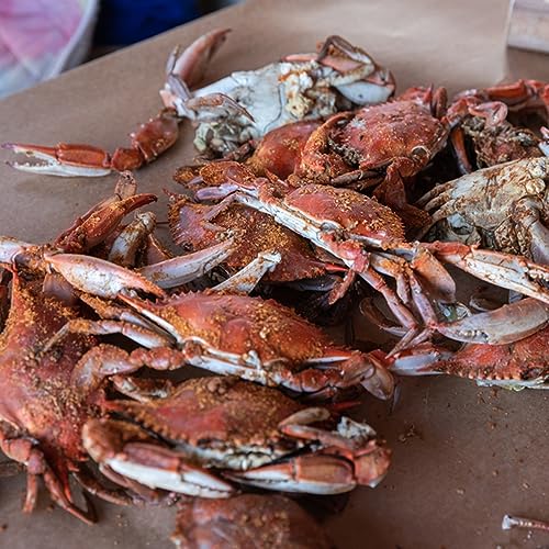 Maryland Blue Crabs Males Jimmys - Steamed (1 Dozen)