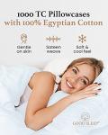 Light Blue 1000 TC Egyptian Cotton Pillowcase Set