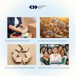 Queen Pillowcase Set - 400 Thread Count, Bright White