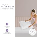 Carressa Luxury 100% Egyptian Cotton King Pillowcases – Set of 2