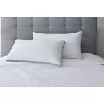 Member's Mark King Egyptian Cotton Bed Pillows (2-Pack)