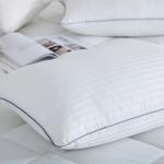 King Size Egyptian Cotton Pillow Protectors - 2 Pack