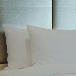 1800 Count Egyptian Cotton Pillow Case Set