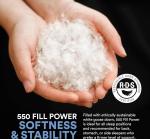 Harmony White Egyptian Cotton Down Pillow