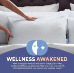 Harmony White Egyptian Cotton Down Pillow