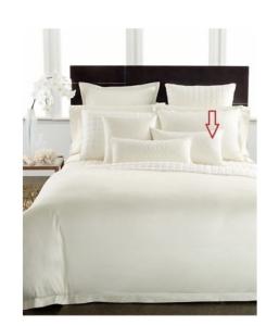 600TC Egyptian Cotton Ivory Decorative Pillow 14" x 24