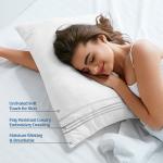 Ultra Soft Egyptian Cotton Pillowcase Set of 2