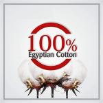 White Edge Ruffle Egyptian Cotton Pillow Shams Set