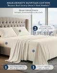 Ivory 100% Egyptian Cotton Queen Bed Sheet Set